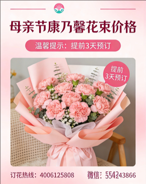 哈尔滨道外区花店母亲节康乃馨花束