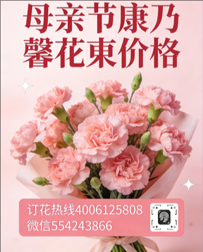 哈尔滨道外区花店母亲节康乃馨花束
